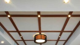 Exploring the World of PVC Wall Panel Designs: The Ins and Outs of PVC False Ceilings and the Latest Trends
